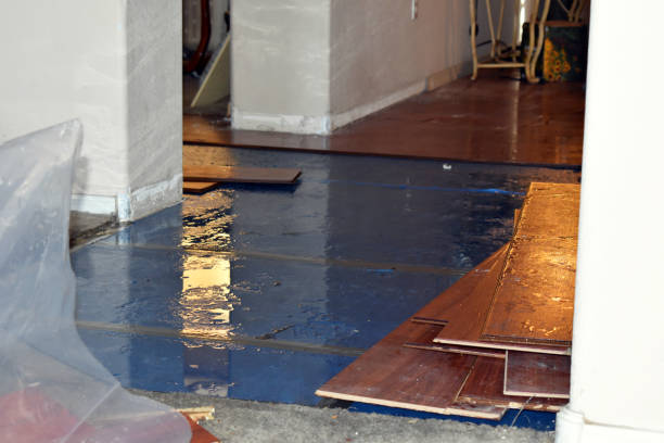 Professional Sewage Cleanup technician working in Potterville, MI